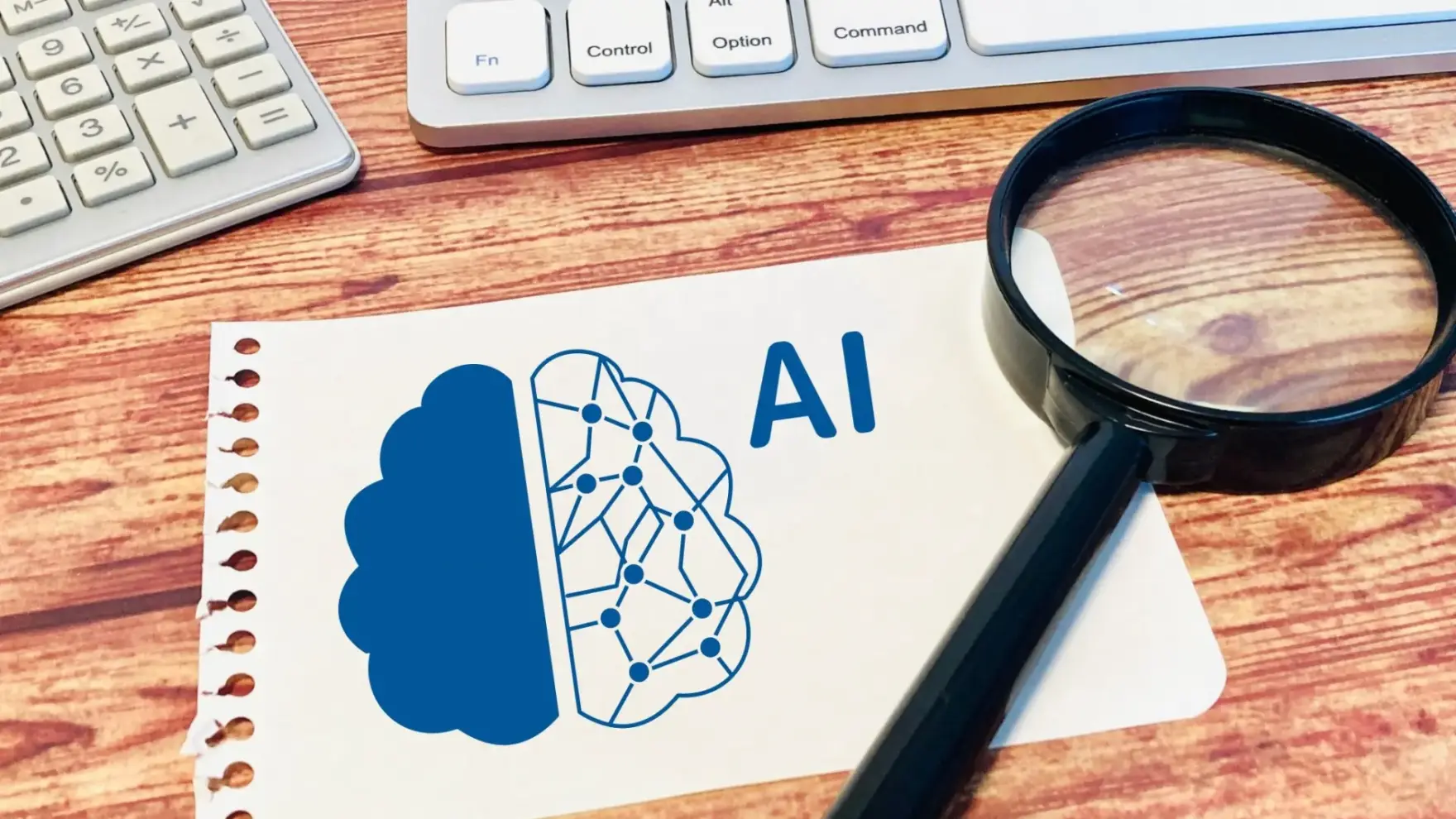 AIシステム開発に強い会社5選!生成AIと従来のAIの違いや費用・導入事例も解説:コラムイメージ